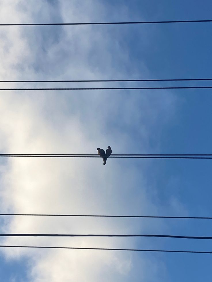 two birds sitting on top of power lines under a cloudy blue sky with white clouds