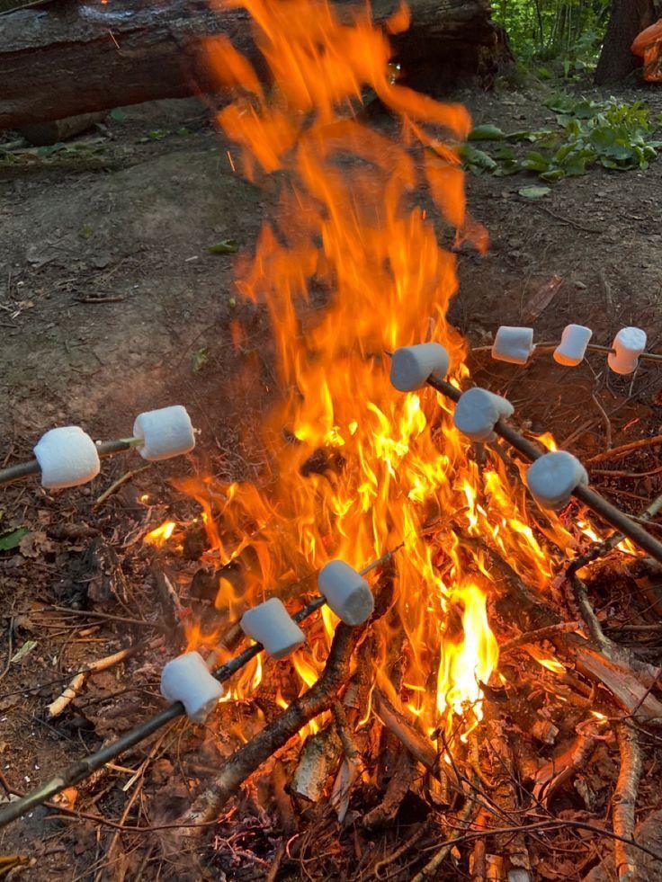 marshmallows roasting over an open fire in the woods