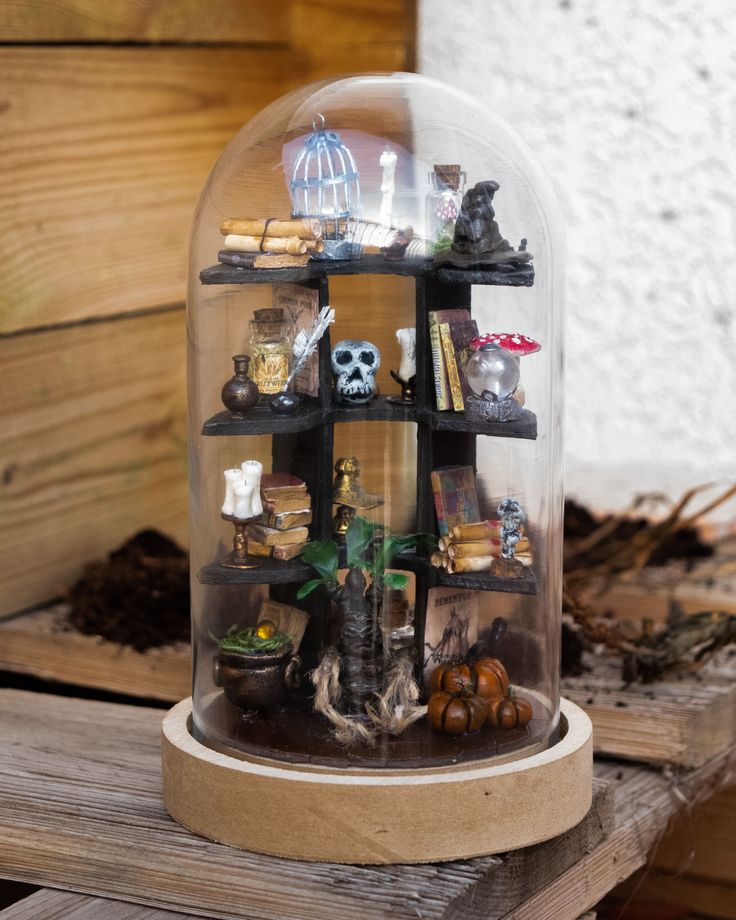 a glass dome with shelves filled with various items