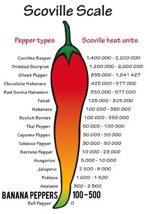 a red and orange hot pepper with the names of its different parts in spanish language