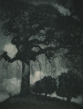 a black and white photo of a tree in the night sky with clouds behind it