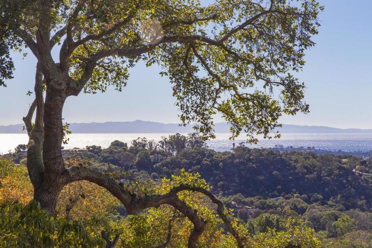 a view from the top of a hill with trees and mountains in the distance behind it