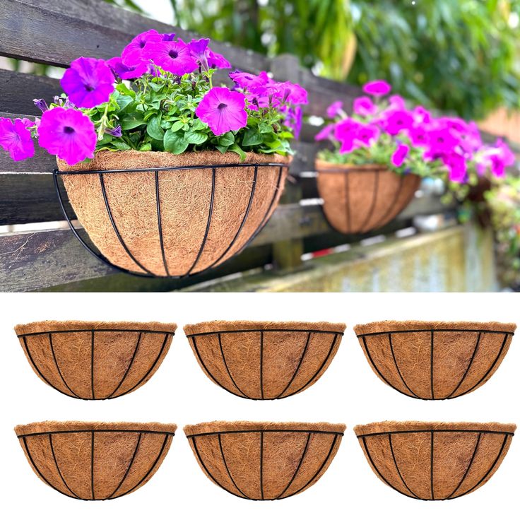 six hanging flower pots with purple flowers in them