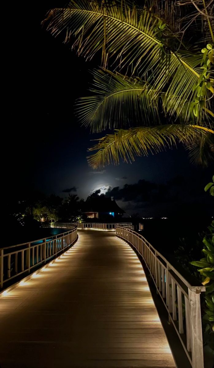 a long wooden walkway with lights on it at night, leading to the ocean and palm trees