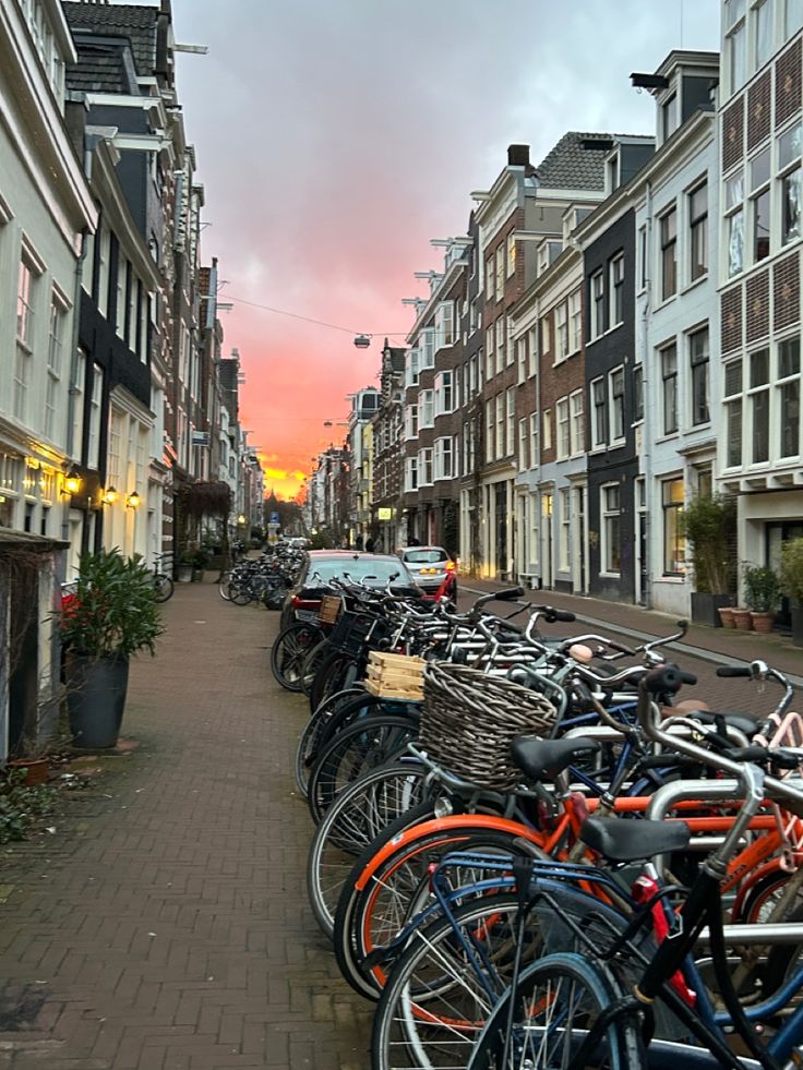 many bicycles are lined up on the sidewalk in front of some buildings at sunset or dawn