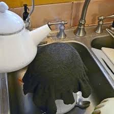 a tea pot sitting on top of a kitchen sink next to a faucet