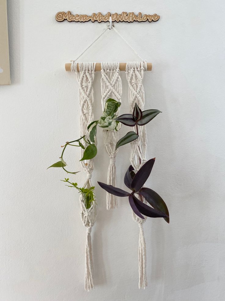 two plants are hanging on the wall next to a plant hanger that is made out of macrame