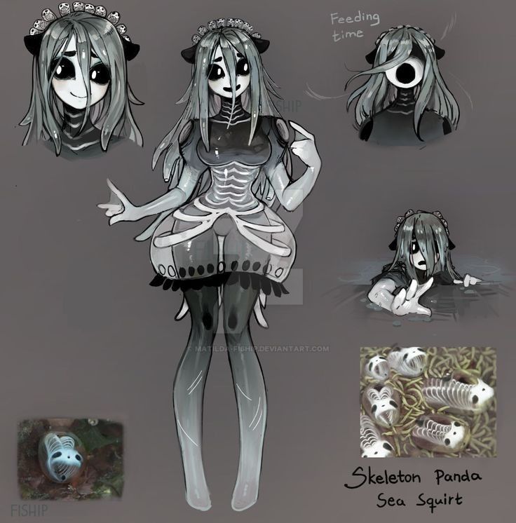 an image of some character designs for the animated game skeleton panda sea squirt