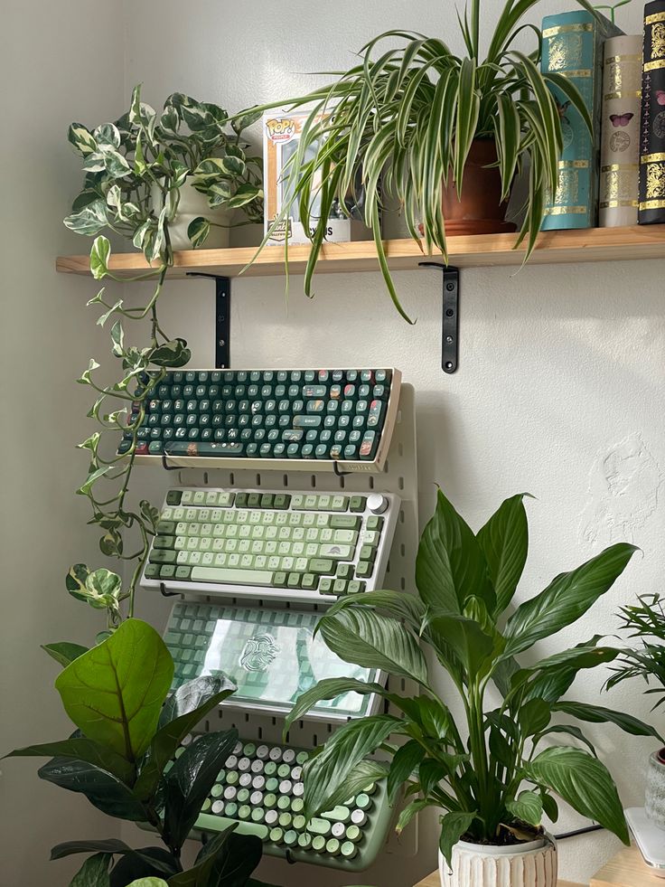 some plants and books on a shelf in a room