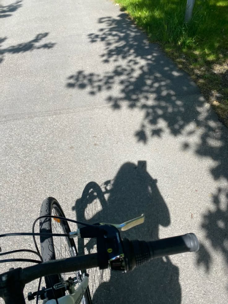 the shadow of a person riding a bike on a path next to grass and trees