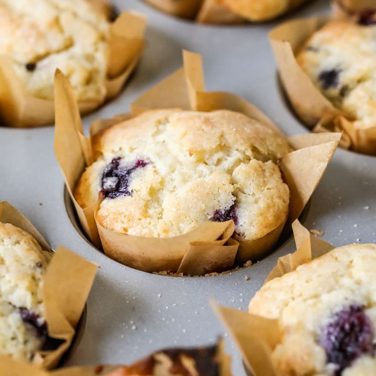 muffins with blueberries are sitting on a baking sheet