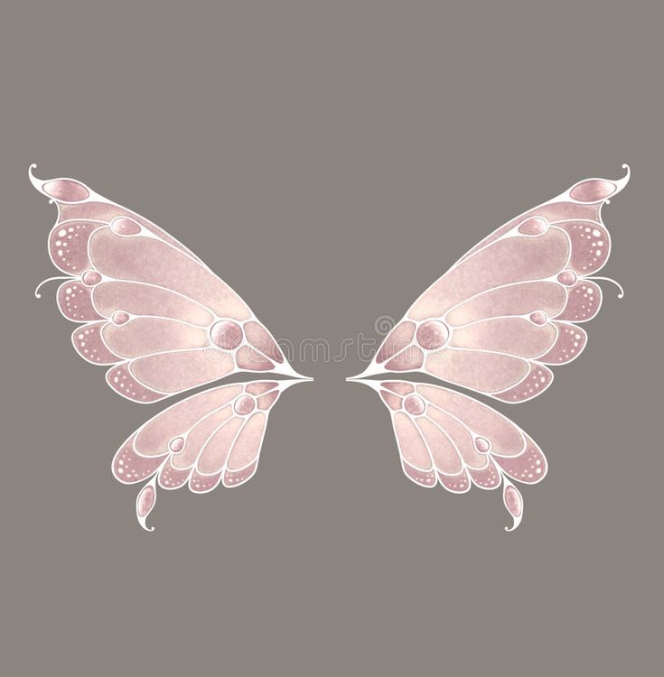 two pink butterflies on a gray background