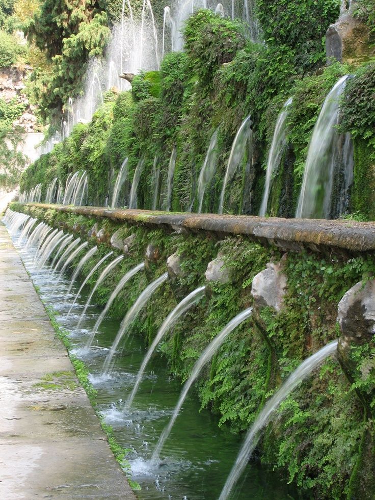 a long row of water cascading down the side of a wall covered in green plants