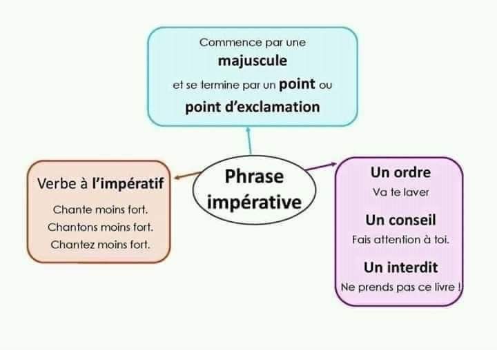 a diagram with different types of phrases in french, english and latin writing on it