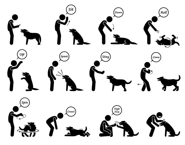 an image of people with dogs in different poses and actions on white background royalty illustration