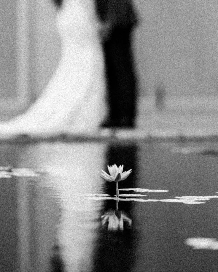 a bride and groom standing next to each other in front of a waterlily pond