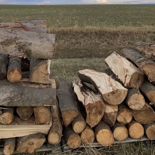 logs stacked on top of each other in the grass