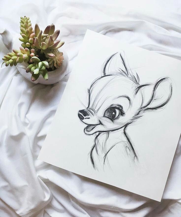 a drawing of a deer on a sheet next to a potted succulent