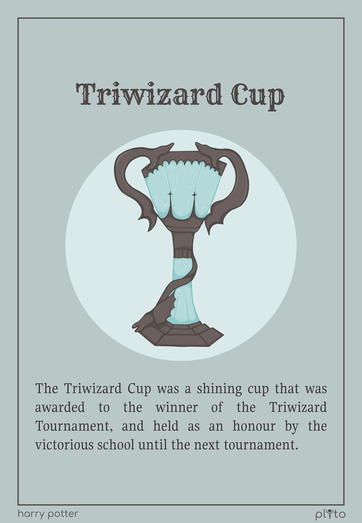 the triwizard cup was a shining cup that was awarded to the winner of the'triwizard tournament, and held as an hour by the victorious school until the next tournament