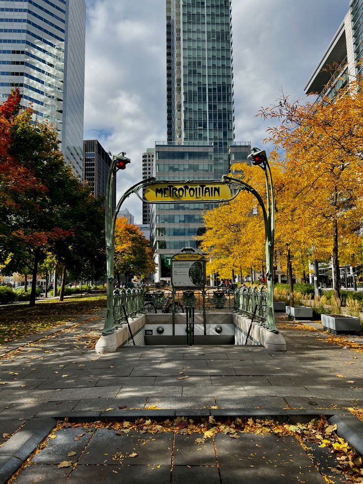 a city park in the fall with trees and leaves on the ground near tall buildings