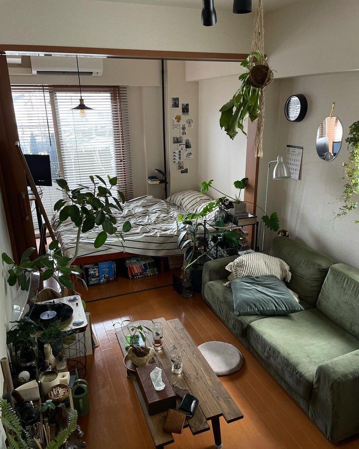 a living room filled with furniture and lots of plants