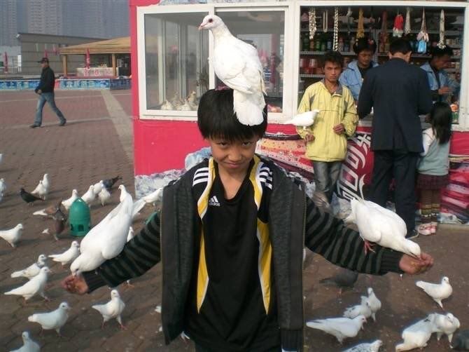 a young boy holding two white birds on his head while standing in front of a store