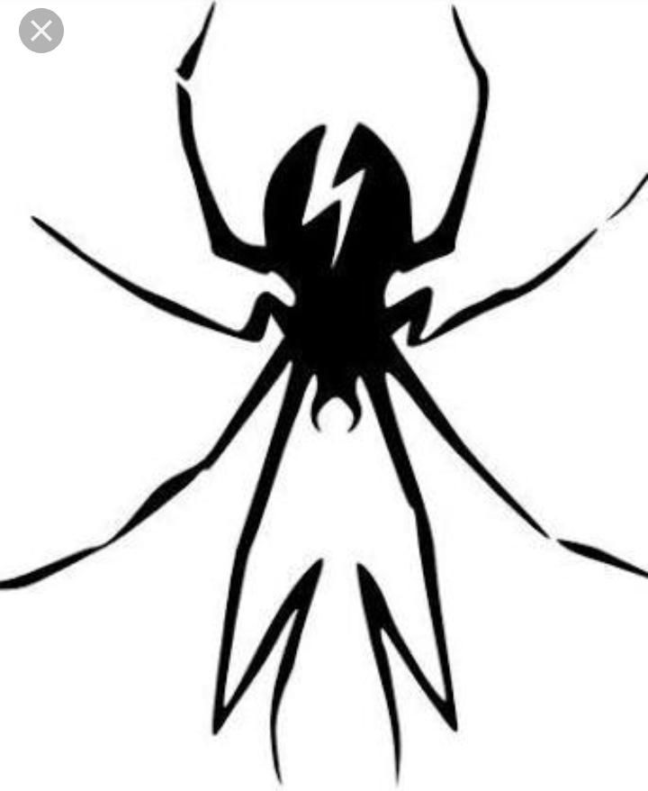 a black and white drawing of a spider with lightning bolt on it's back