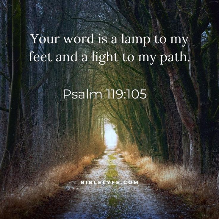 an image of a path that is surrounded by trees with the words, your word is a lamp to my feet and a light to my path