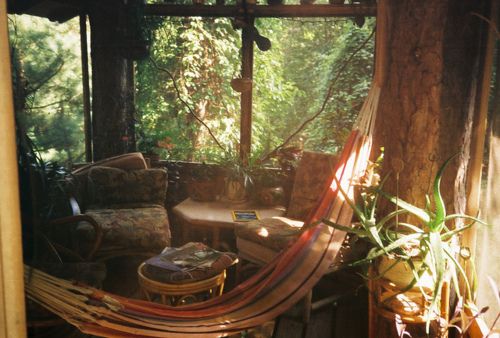 a hammock hanging from the side of a tree in front of a window