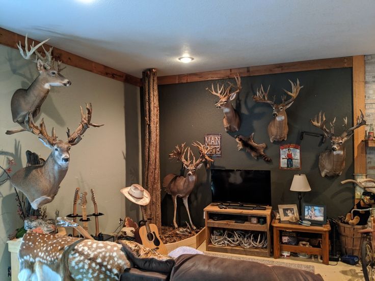 a living room with deer heads mounted to the wall and other decorations on the wall