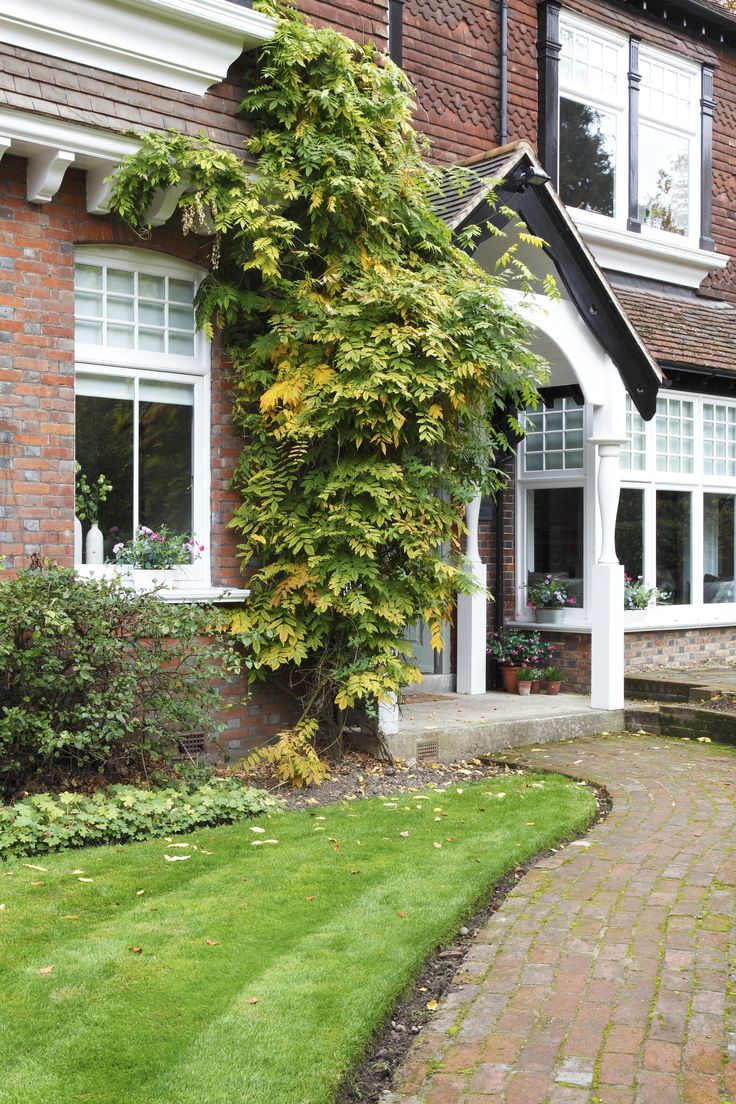 a brick house with green plants growing on the front and side of it's windows