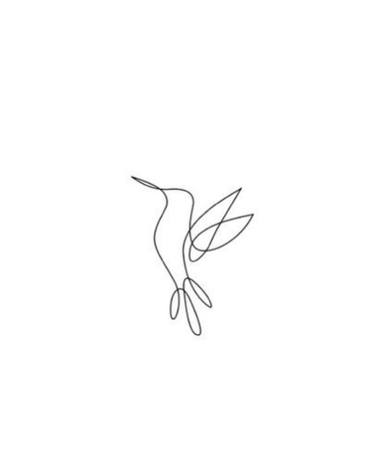 a single line drawing of a hummingbird