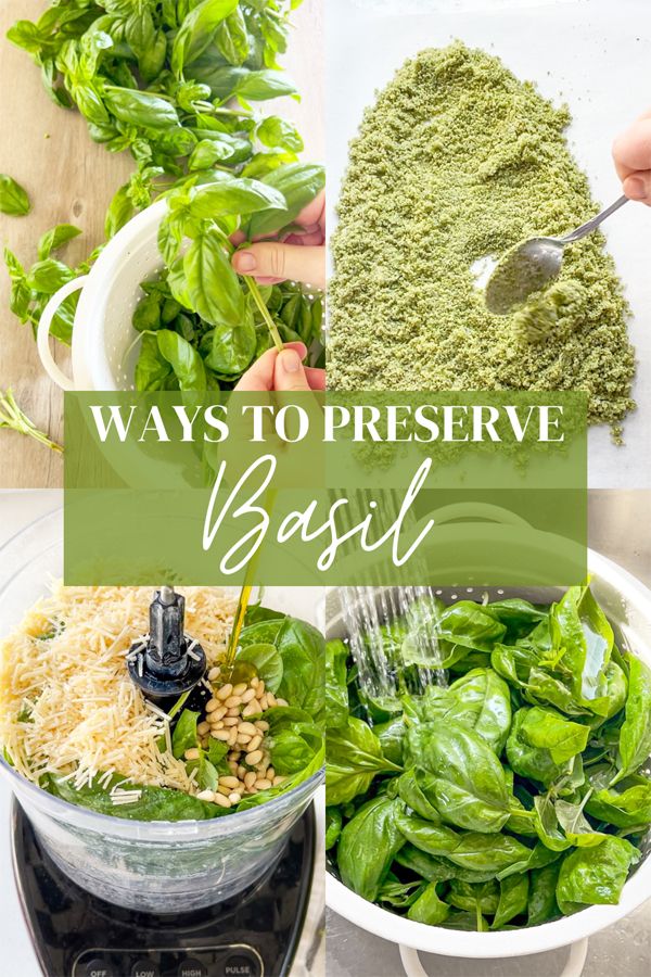 three bowls filled with different types of vegetables and herbs next to the words, ways to preserve basil