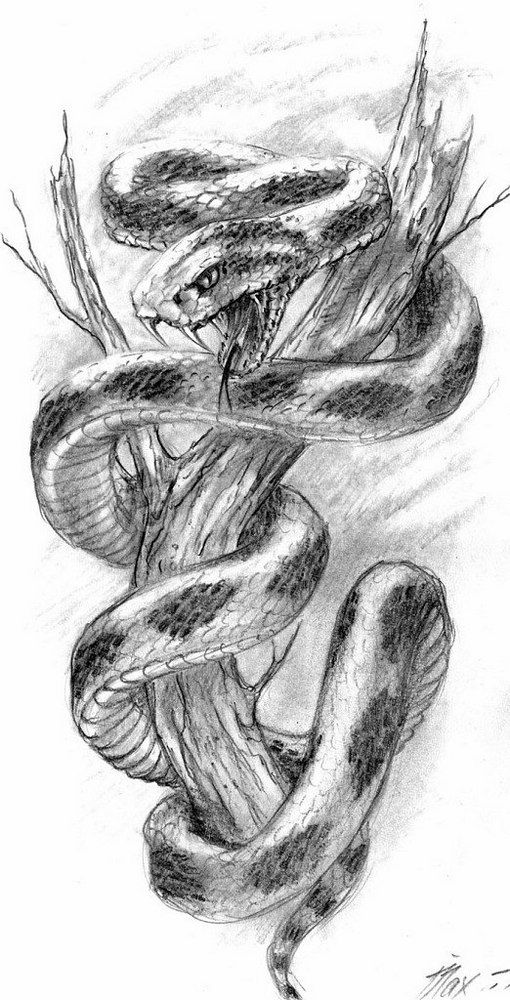 a pencil drawing of a snake with its head in the air and it's tongue out