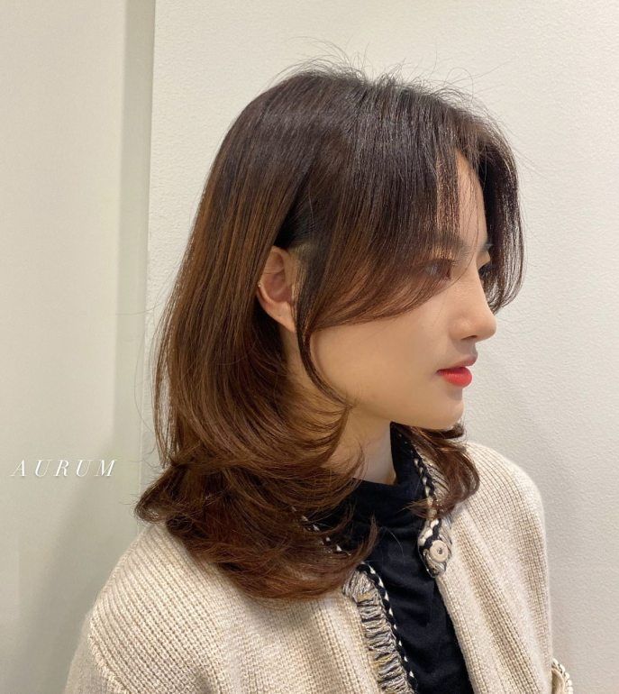 Midi Flipped-Up Hairstyle for Asian Women Asian Hair Bob, Asian Bob Haircut, Mid Hair, Asian Hairstyle, Asian Hairstyles, Middle Part Hairstyles, Asian Haircut, Korean Short Hair, Layered Haircuts For Medium Hair