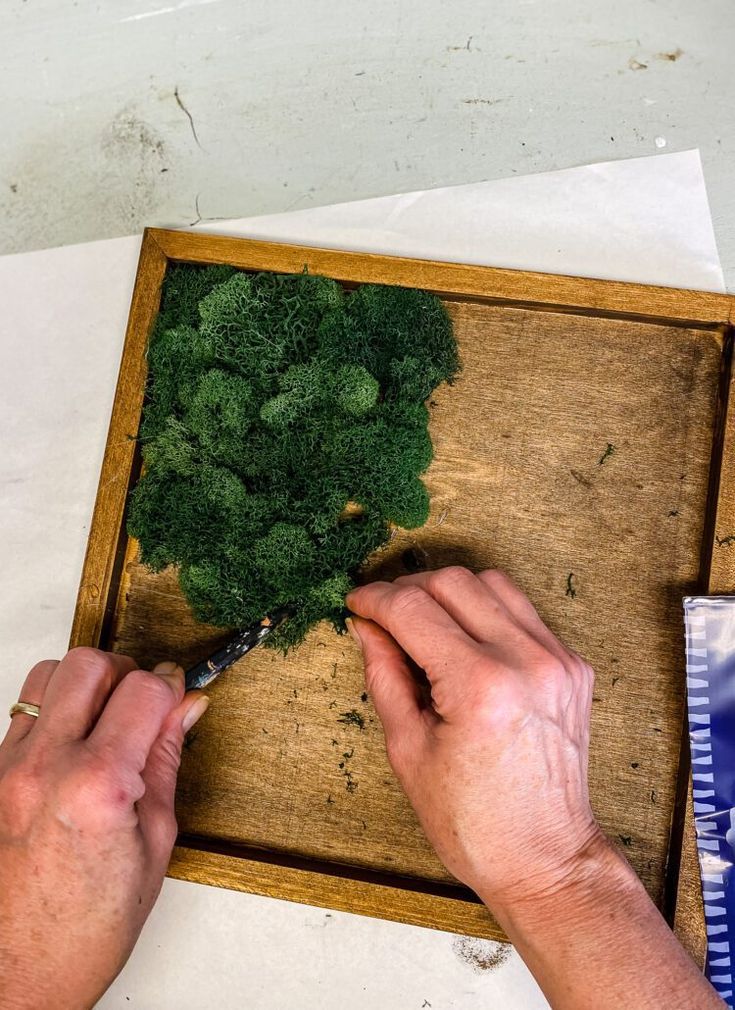 a person is cutting broccoli on a wooden board