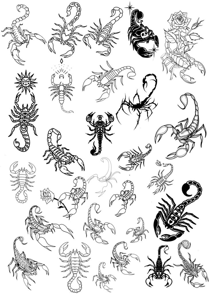 scorpion tattoo designs for men and women