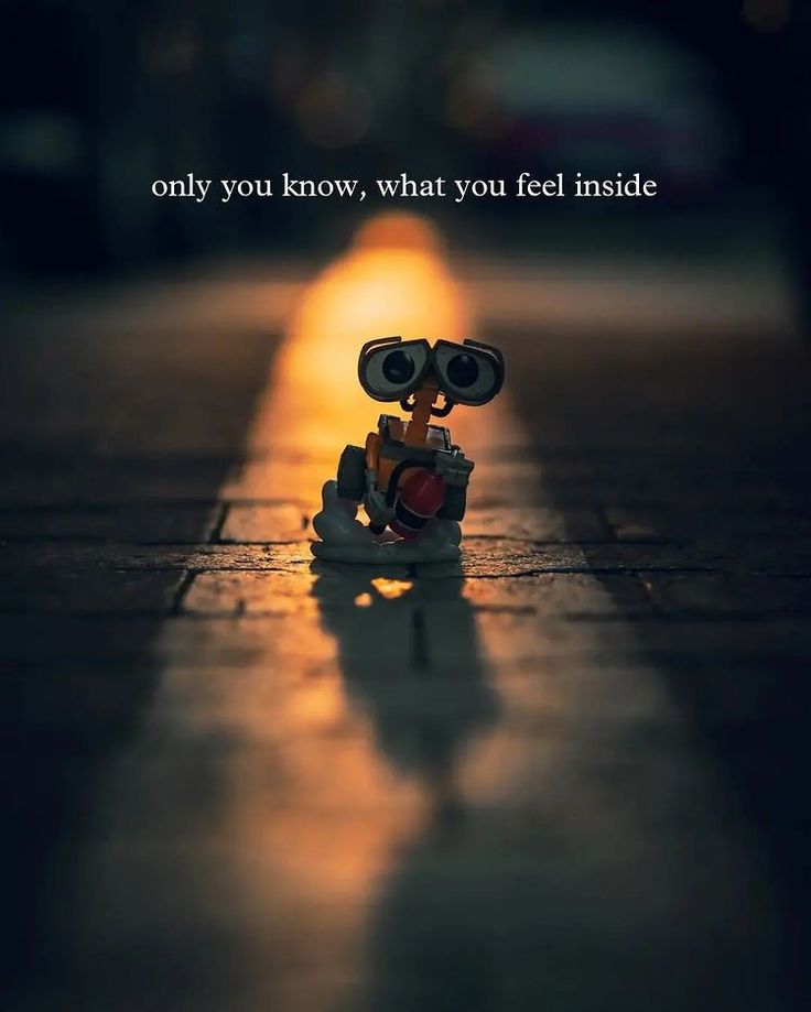 a small toy sitting on the side of a road next to a street sign that says only you know, what you feel inside