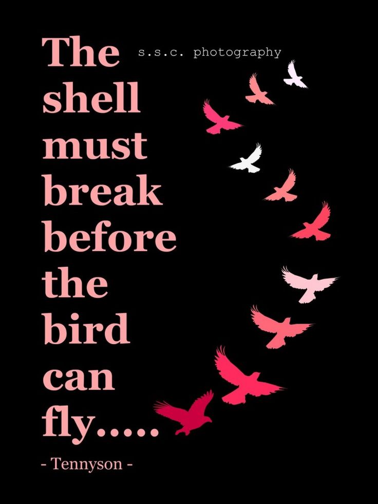 a poster with birds flying in the air and words above it that read, the shell must break before the bird can fly