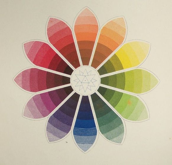 an image of a flower that is colored in the same shade as the color wheel