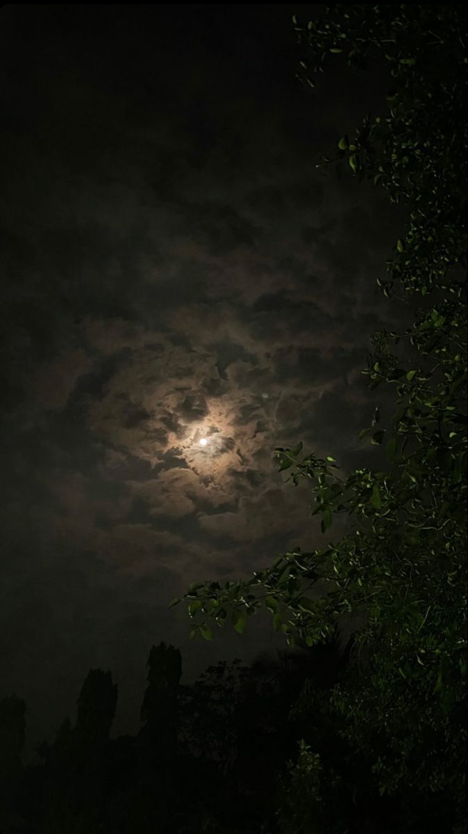 the full moon shines brightly in the dark sky above some trees and bushes at night