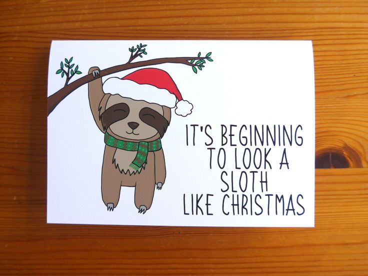 a christmas card with a sloth wearing a santa hat and scarf hanging from a tree branch