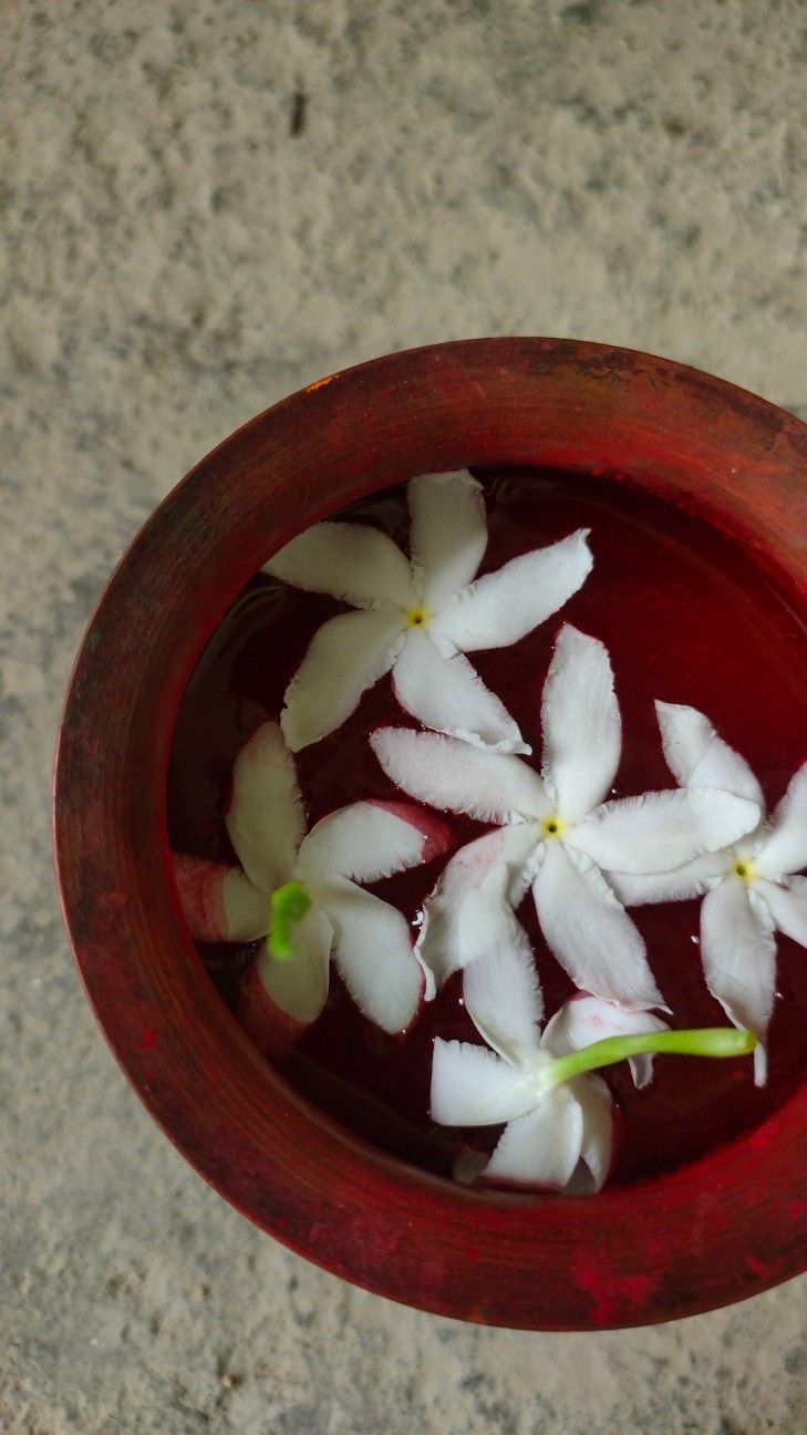 small white flowers floating in water in a red bowl