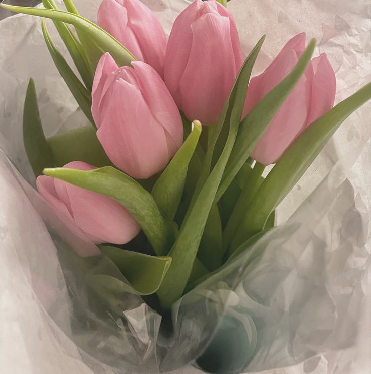 a bouquet of pink tulips in a wrapper