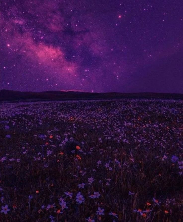 the night sky is filled with stars and purple hues as well as wildflowers