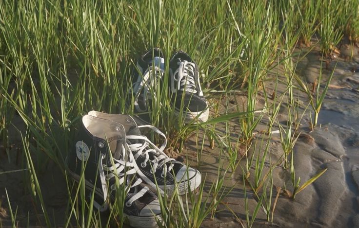 two pairs of shoes are sitting in the tall grass by the water's edge