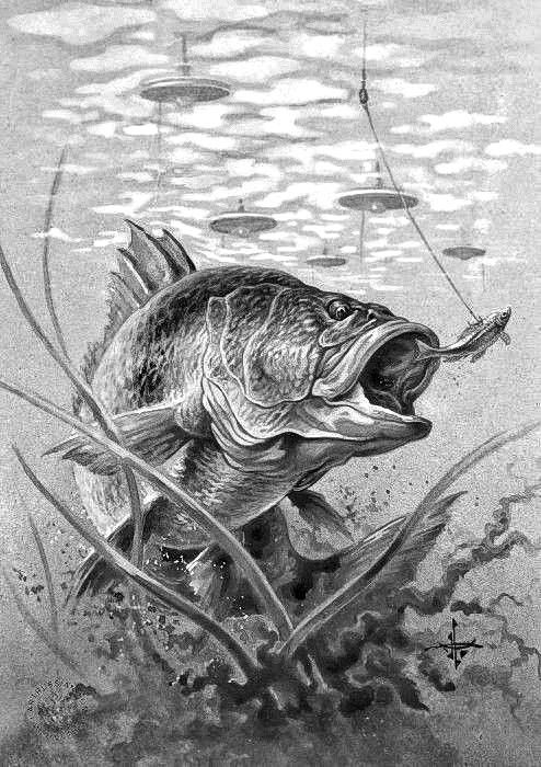 a fish with its mouth open sitting on top of a plant in the middle of water