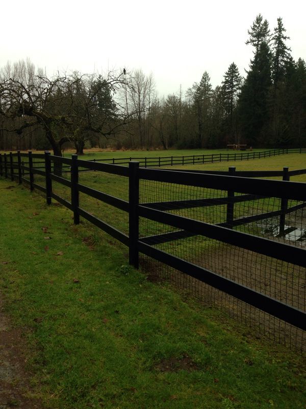 a black fence is next to a grassy field