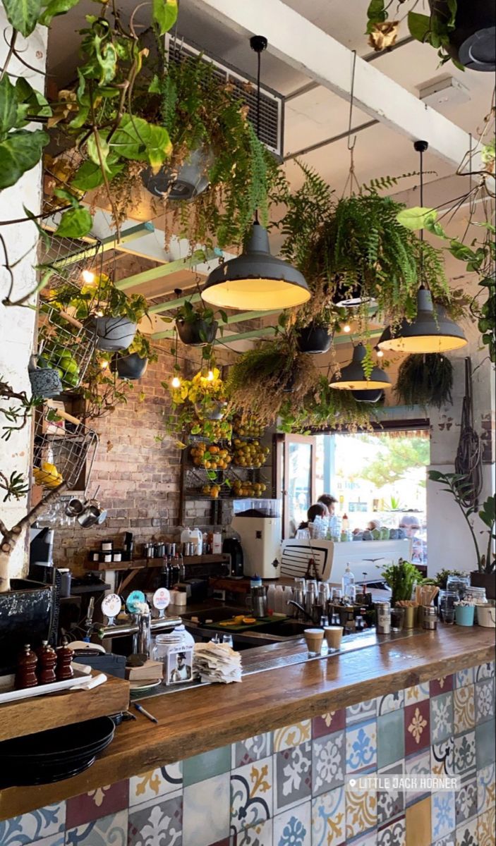 the interior of a restaurant with plants hanging from the ceiling and potted plants on the wall