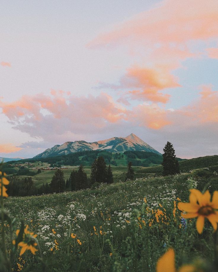 the mountains are covered in flowers and trees as the sun sets behind them on a cloudy day